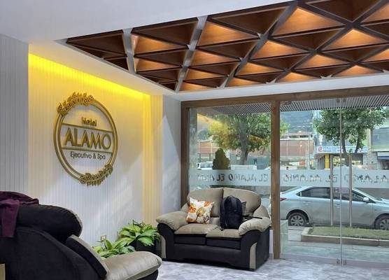 EL ALAMO, EJECUTIVO Y SPA 1