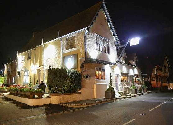 The Dog At Wingham 1