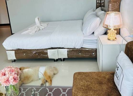 Service apartment lampang 1