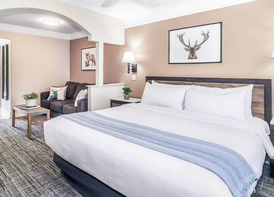 Inn At Mount Shasta 1