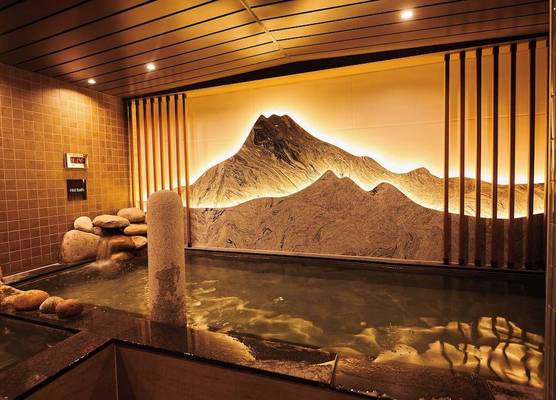 Dormy Inn EXPRESS SEOUL Insadong 1