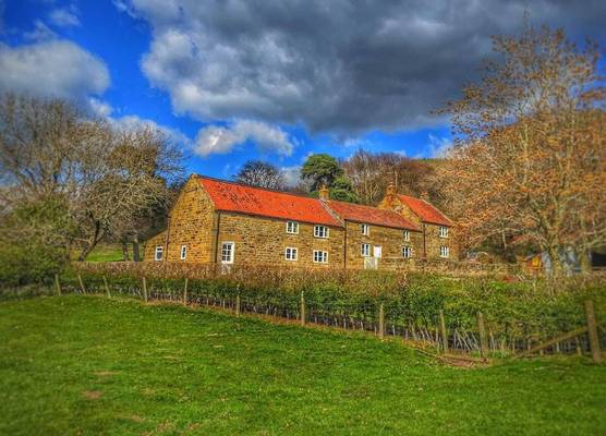 Park House 1