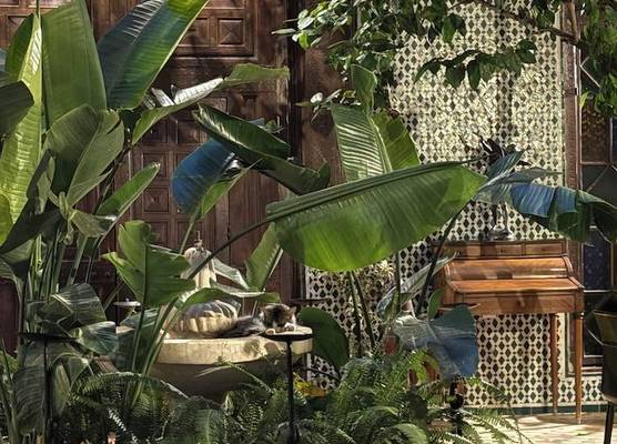 Riad Harmattan 1