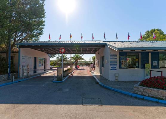 Camping Village Pino Mare 1