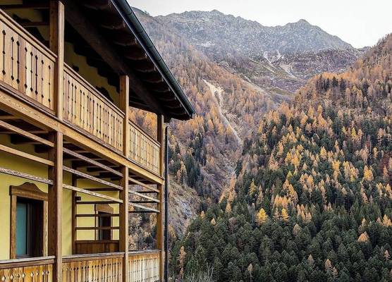 Mirtillo Alpino Casa Vacanze 1