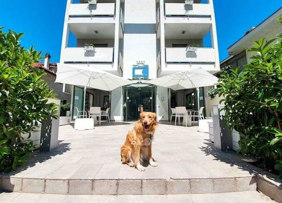 The One Hotel - Designed for Adults - Pet lovers 1