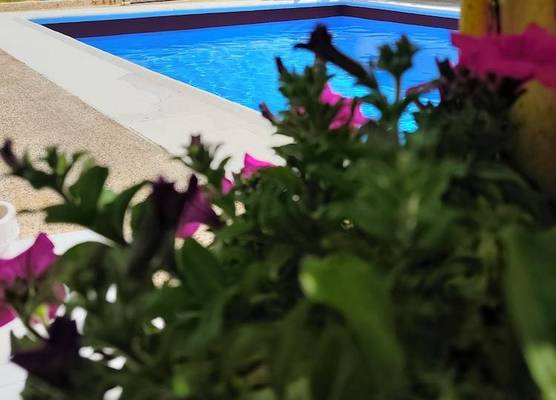 Hostal Orsi 1
