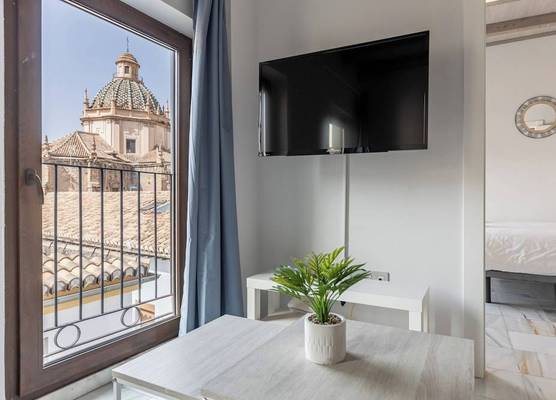 Apartamentos Realejo Granada Centro 3000 1