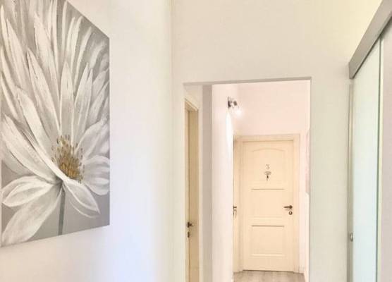 Iris Rooms 1