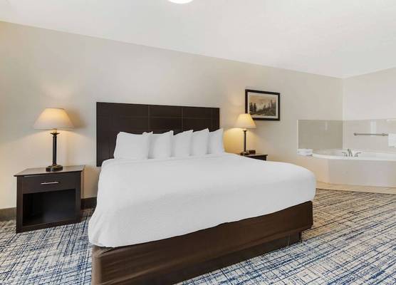 Best Western Visalia Hotel 1