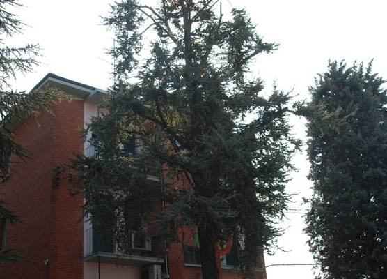 Hotel Tuscolano 1