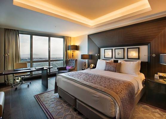 Dedeman Bostanci Istanbul Hotel & Convention Center 1