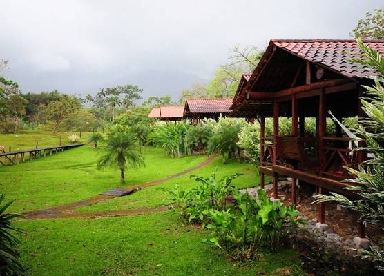 La Anita Rain Forest 1