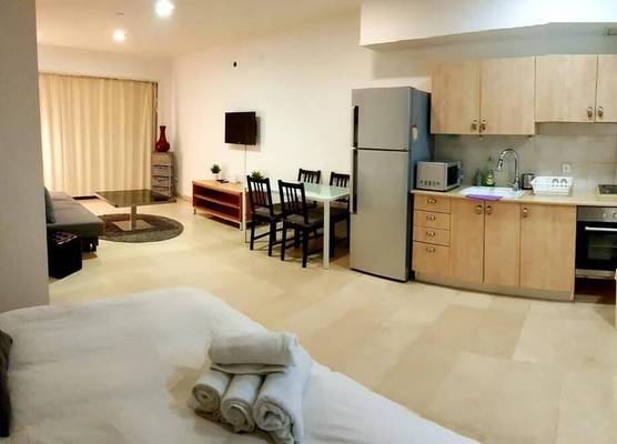 Amazing studio - with Balcony 1