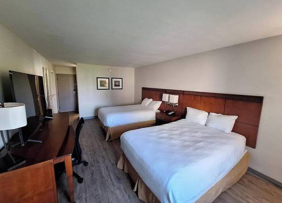 The Hotel Orange 1