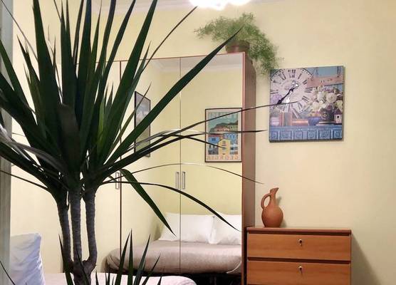 H&B apartments Pushkin 1