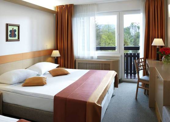 Garni Hotel Savica - Sava Hotels & Resorts 1