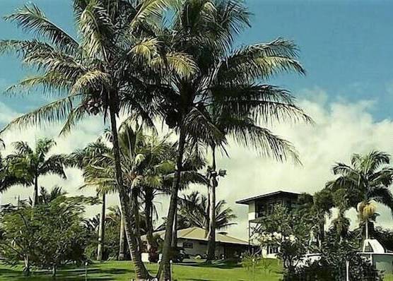 Island Goode's - Luxury Adult Only Accommodation near Hilo 1
