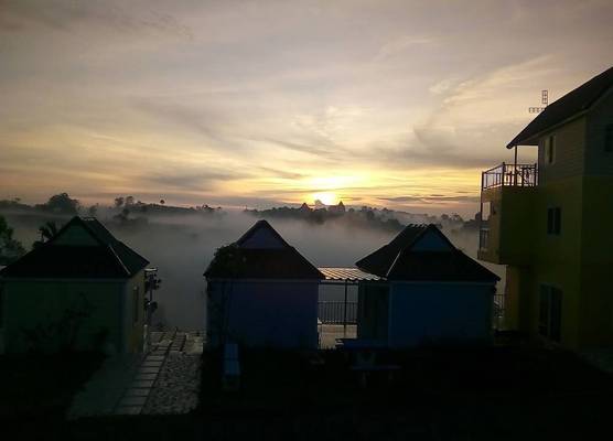 Lovely Farm 1