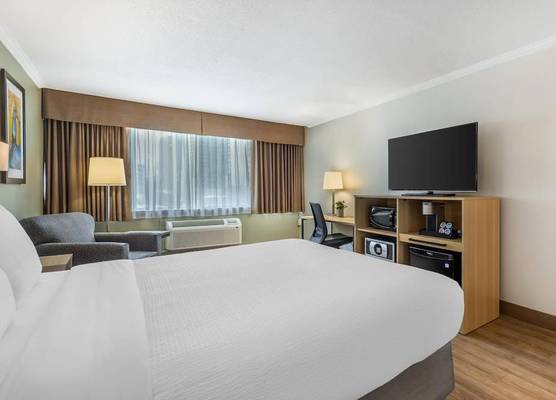 Best Western Plus Ottawa City Centre 1