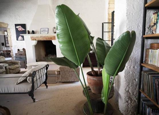 Masseria Caretti Grande 1