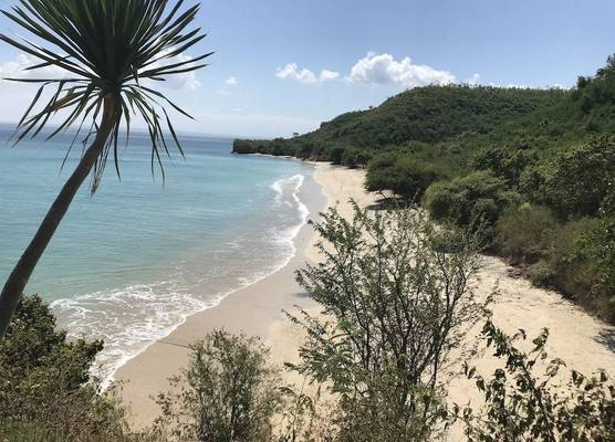Ekas Surf Resort, Wellness Centre & Retreats 1