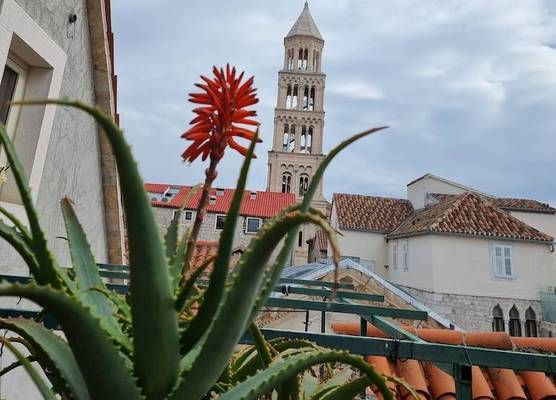 Malena Palace Experience 1