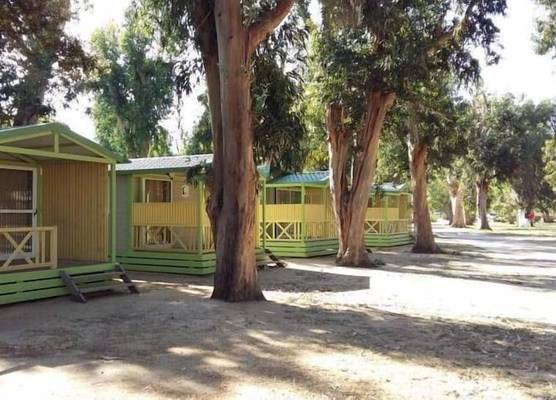 Le Camping de la Plage 1