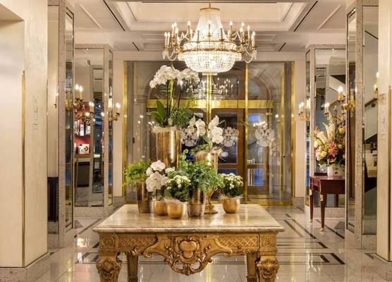 Best Western Premier Grand Hotel Russischer Hof 1
