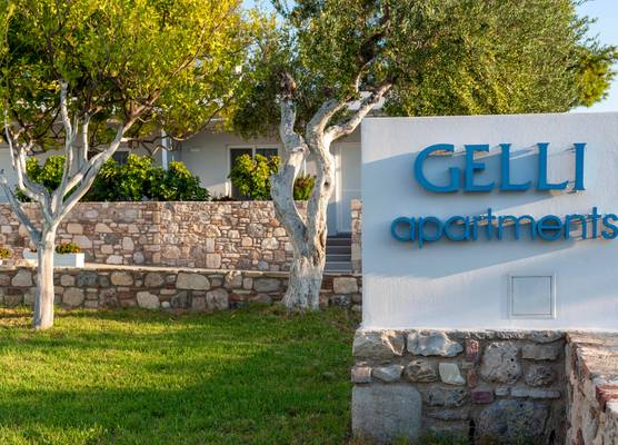 Gelli Apartments 1