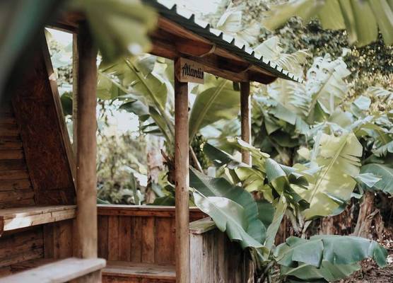 Banana Eco Camp 1