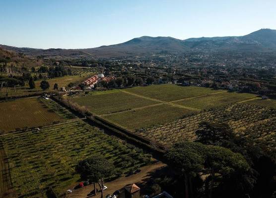 Villa Cavalletti Appartamenti 1