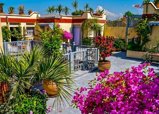 Riad Noos Noos & Spa 1