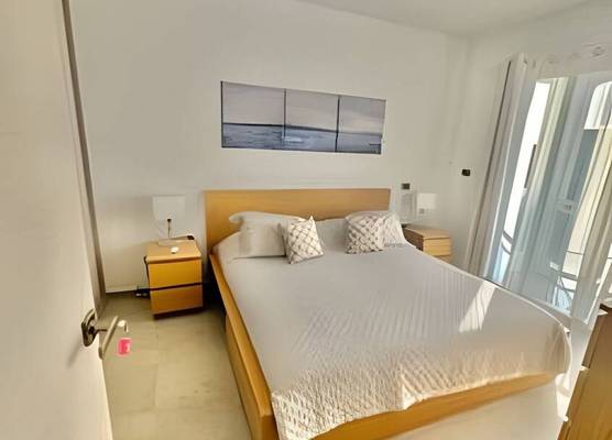 Estrella Dominicus Advantage 1