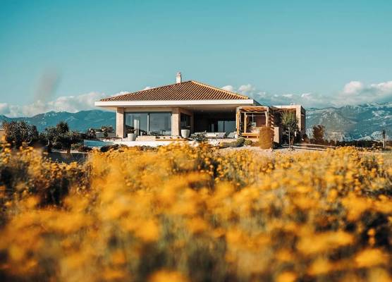 Brioni - Plant Villas, with luxury service 1