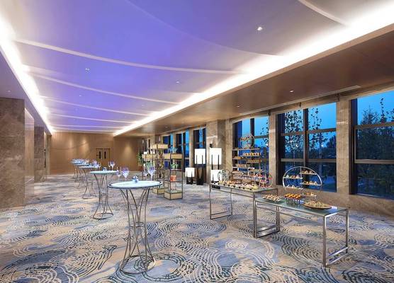 Holiday Inn Tianjin Wuqing 1