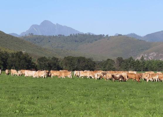 Natures Way Bushbuck Cottage 1