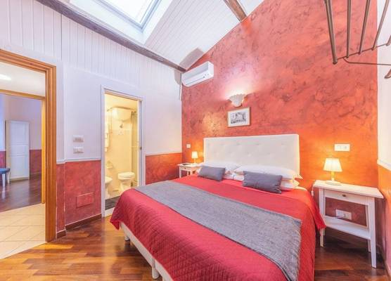Room-skylight Double Room in History Hou 1