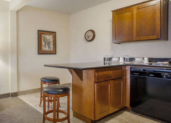Quality Inn & Suites Airport 1