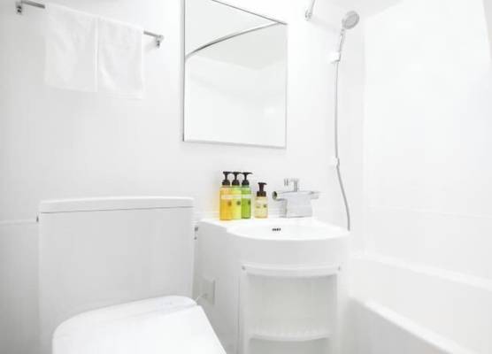 HOTEL MYSTAYS Kumamoto Riverside 1