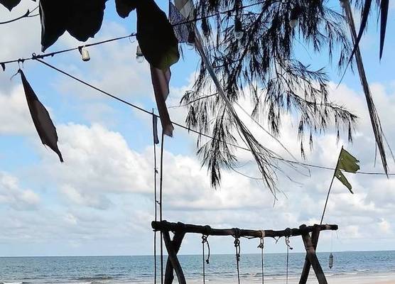 Jungle Bay Resort 1