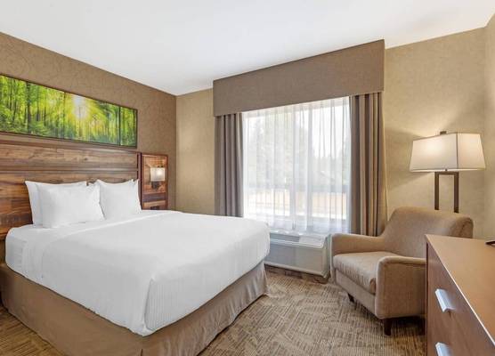 Best Western Plus Valemount Inn & Suites 1