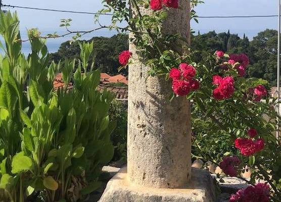 Villa Anica Dubrovnik - luxurious with a sea view 1