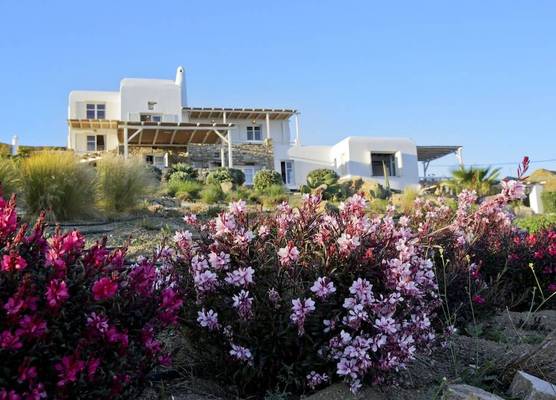 Salty Houses 1