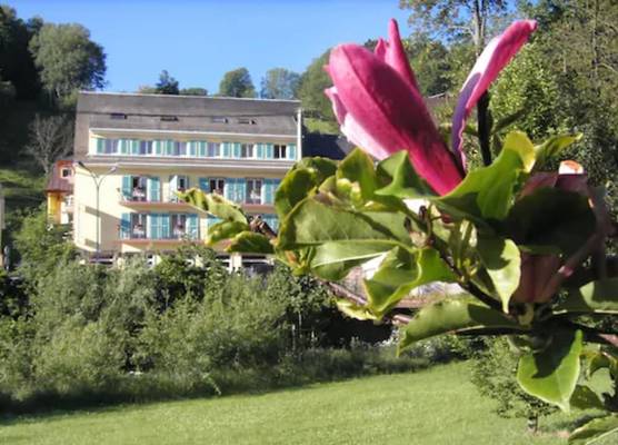 Logis Hôtel - Restaurant Aux Bruyères 1