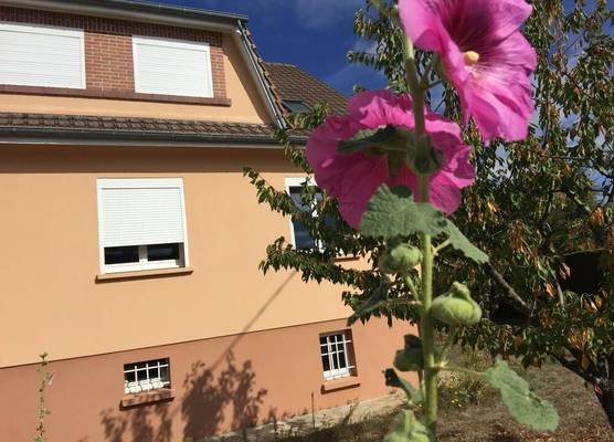 Jolie halte normande 1