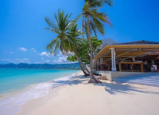Chaweng Regent Beach Resort 1