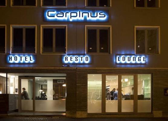 Hotel Carpinus 1