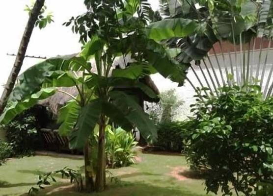 Hotel Aurore Lomé 1