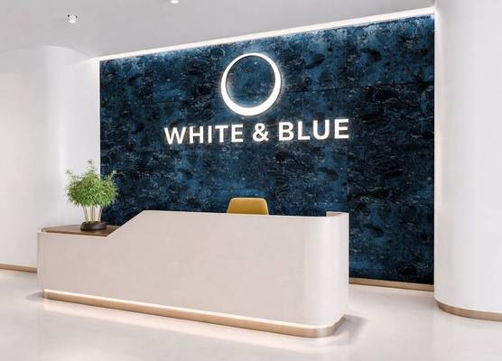 WHITE & BLUE 1